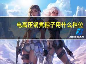 电高压锅煮粽子用什么档位