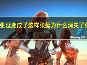 男人婆张延变成了这样 张延为什么消失了 张延老公是谁