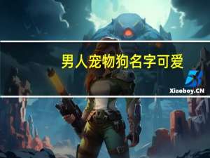 男人宠物狗名字可爱