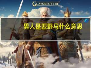 男人是匹野马什么意思（男人是匹马简介）