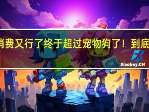 男人消费又行了终于超过宠物狗了！ 到底什么情况嘞