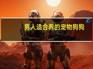 男人适合养的宠物狗狗