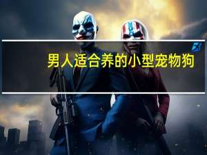 男人适合养的小型宠物狗