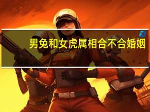 男兔和女虎属相合不合婚姻