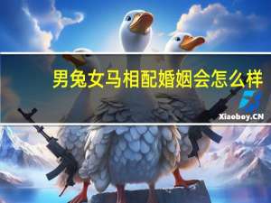 男兔女马相配婚姻会怎么样