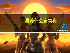 男养什么宠物狗