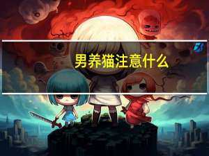 男养猫注意什么