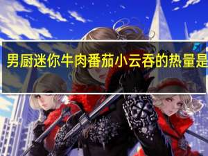 男厨 迷你牛肉番茄小云吞的热量是多少