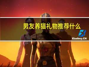男友养猫礼物推荐什么