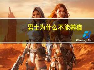 男士为什么不能养猫