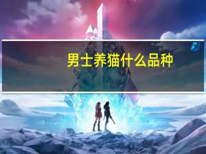 男士养猫什么品种