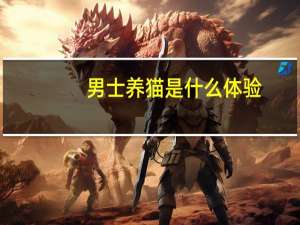 男士养猫是什么体验