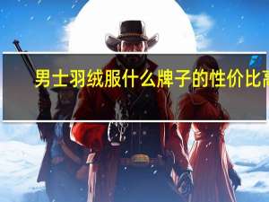 男士羽绒服什么牌子的性价比高