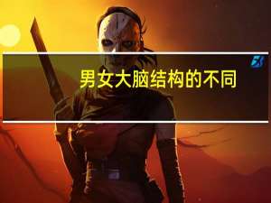 男女大脑结构的不同
