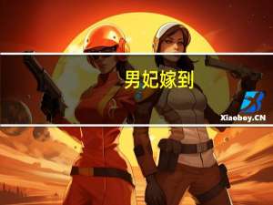 男妃嫁到（男妃）