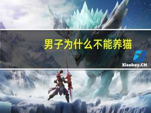 男子为什么不能养猫