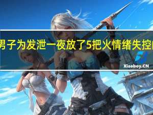男子为发泄一夜放了5把火 情绪失控的代价