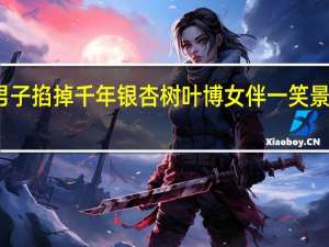 男子掐掉千年银杏树叶博女伴一笑景区回应：要加强巡逻了 到底什么情况呢