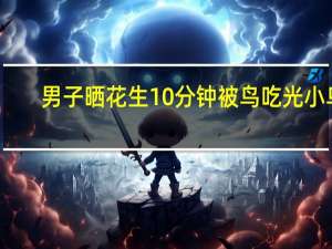 男子晒花生10分钟被鸟吃光 小鸟：听我说谢谢你 到底什么情况呢