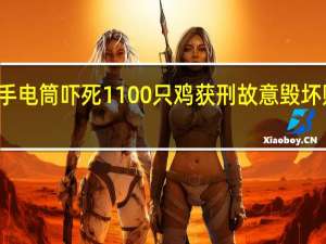 男子用手电筒吓死1100只鸡获刑 故意毁坏财物治安处罚