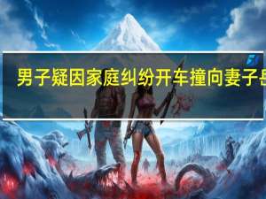 男子疑因家庭纠纷开车撞向妻子岳母　