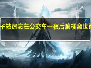 男子被遗忘在公交车一夜后脑梗离世 谁的责任
