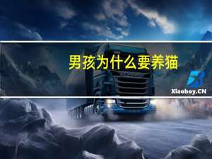 男孩为什么要养猫