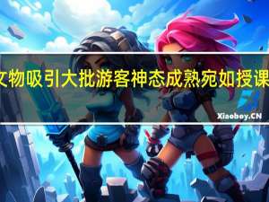 男孩博物馆讲文物吸引大批游客神态成熟宛如授课现场 到底什么情况呢
