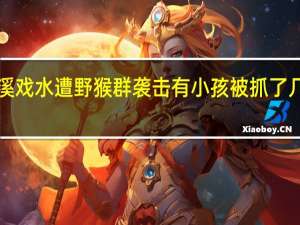 男孩小溪戏水遭野猴群袭击 有小孩被抓了几下太惊悚了！
