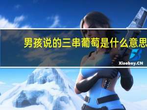 男孩说的三串葡萄是什么意思？
