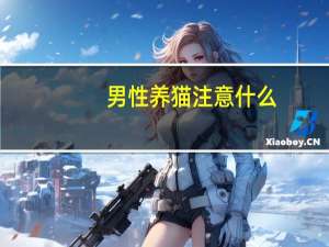 男性养猫注意什么