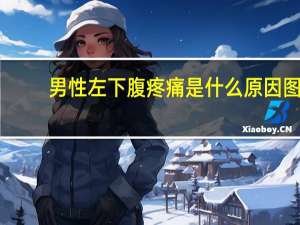 男性左下腹疼痛是什么原因图（男性左下腹疼痛是什么原因）