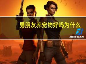 男朋友养宠物好吗为什么