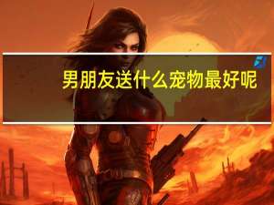 男朋友送什么宠物最好呢