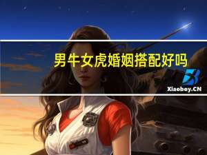 男牛女虎婚姻搭配好吗