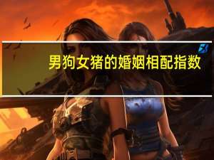 男狗女猪的婚姻相配指数（相配指数）