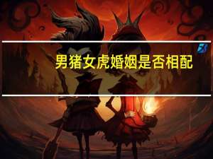男猪女虎婚姻是否相配