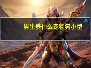 男生养什么宠物狗小型
