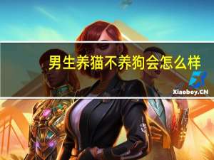 男生养猫不养狗会怎么样