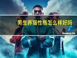 男生养猫性格怎么样好吗