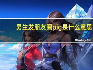 男生发朋友圈pig是什么意思