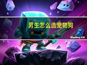 男生怎么选宠物狗