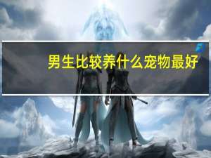 男生比较养什么宠物最好
