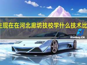 男生现在在河北廊坊技校学什么技术比较有前途