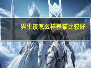 男生该怎么样养猫比较好