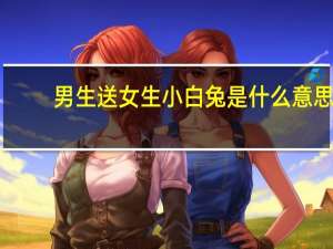 男生送女生小白兔是什么意思