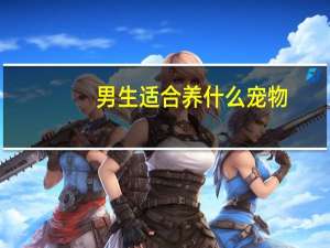 男生适合养什么宠物