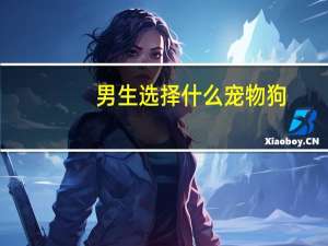 男生选择什么宠物狗