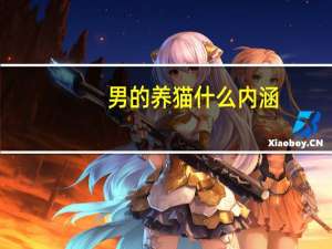 男的养猫什么内涵