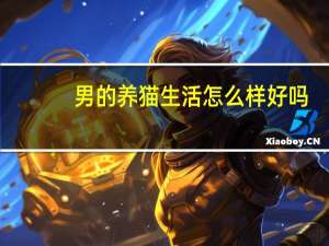 男的养猫生活怎么样好吗